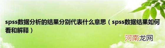 spss数据结果如何看和解释 spss数据分析的结果分别代表什么意思