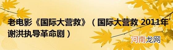 国际大营救2011年谢洪执导革命剧 老电影《国际大营救》