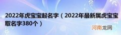 2022年最新属虎宝宝取名字380个 2022年虎宝宝起名字