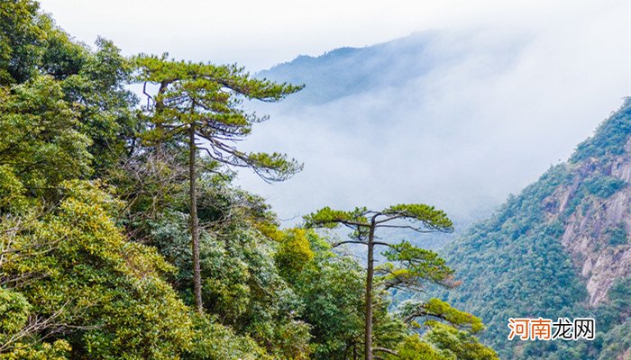 江西旅游必去十大景点 江西旅游必去十大景点分别是