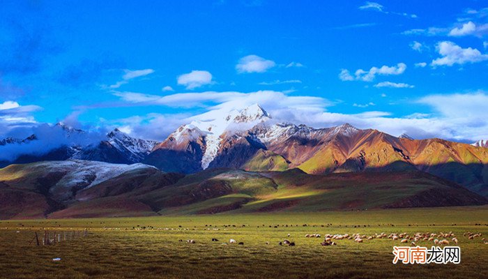羊湖在西藏哪个位置 羊湖在西藏什么地方