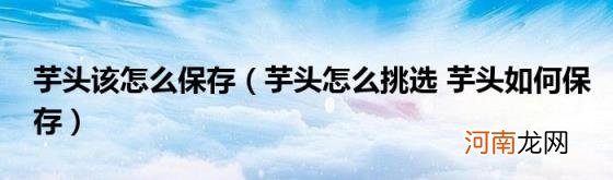 芋头怎么挑选芋头如何保存 芋头该怎么保存