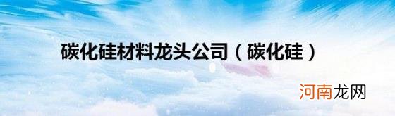 碳化硅 碳化硅材料龙头公司