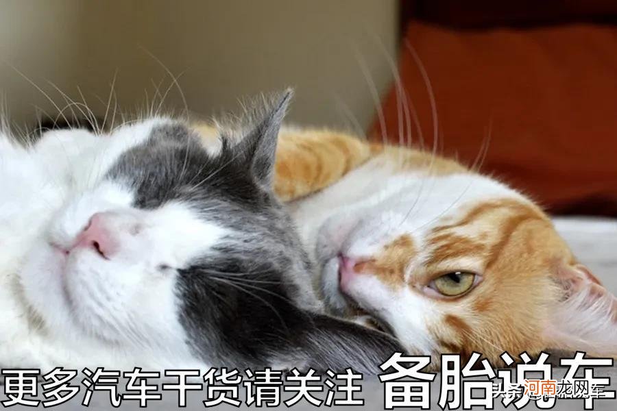 双离合不好为什么那么多人买 新手为什么不建议买双离合