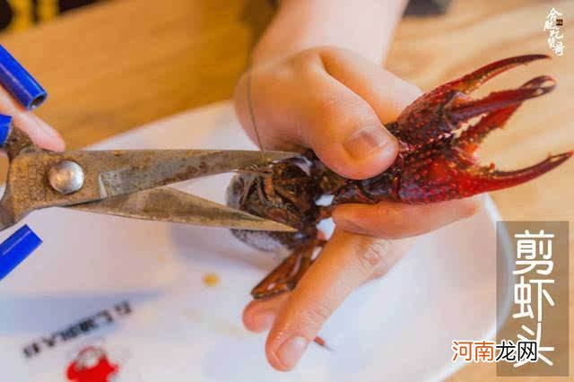 处女座的吃货 处女座的吃货圈圈