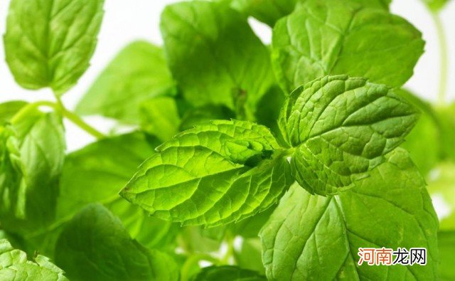 口腔异味重怎么办 祛除口腔异味的妙方