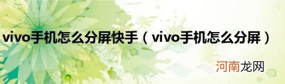 vivo手机怎么分屏 vivo手机怎么分屏快手