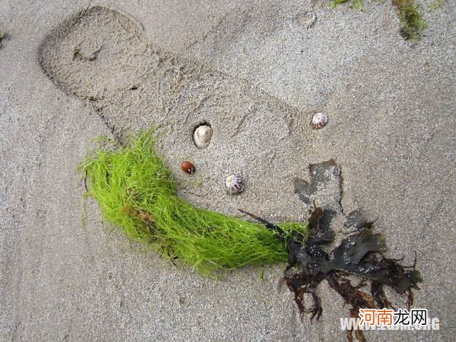 解梦药 解梦药盒