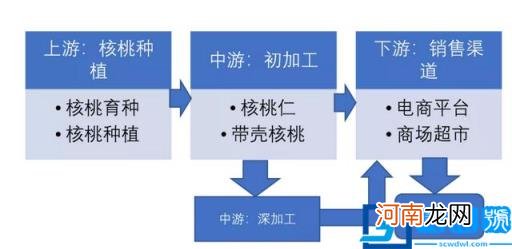 最好的核桃是哪里产的 哪里出产的核桃比较好