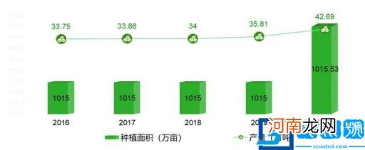最好的核桃是哪里产的 哪里出产的核桃比较好
