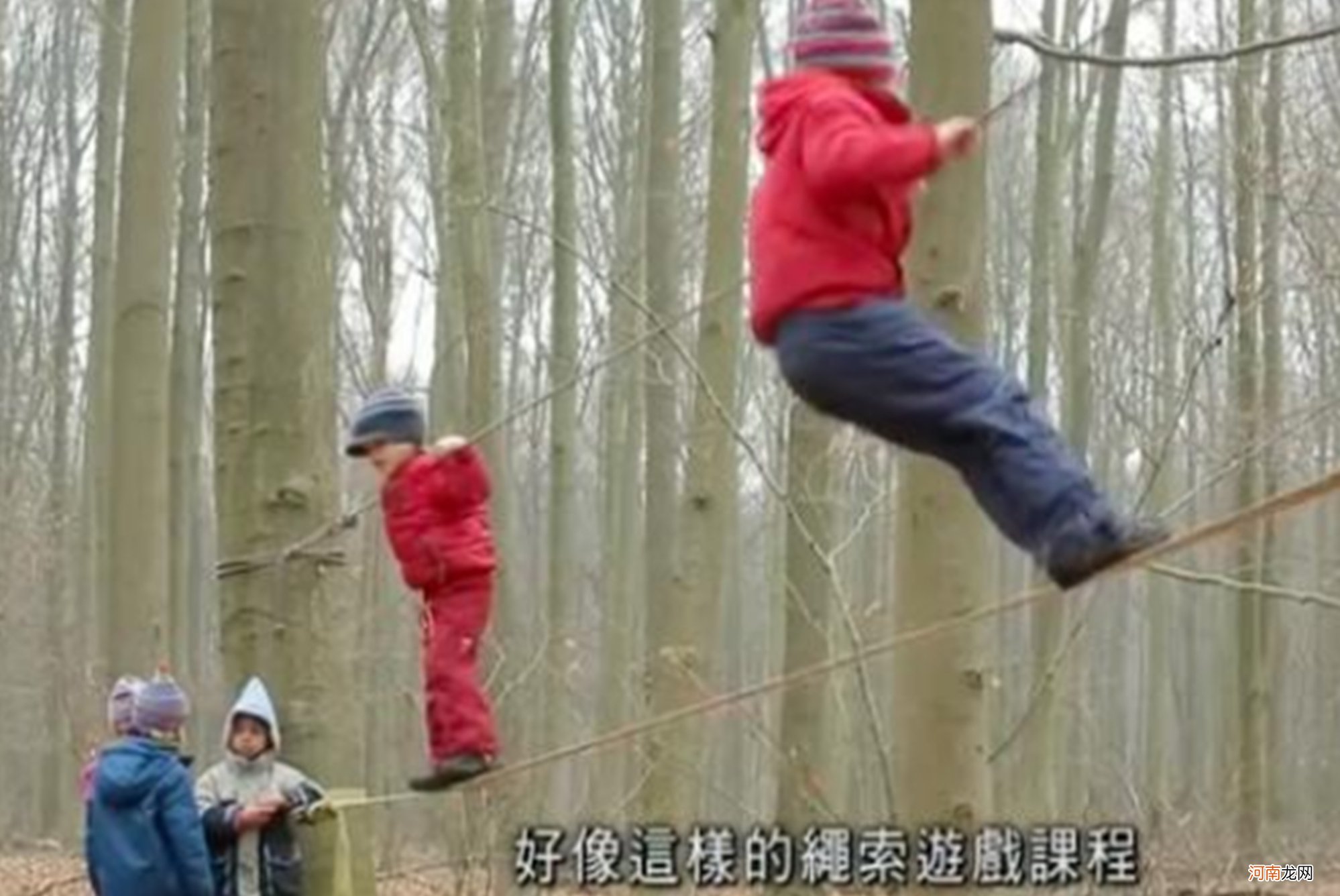 德国施行“森林幼儿园”，野外教育锻炼孩子，值得中国父母学习