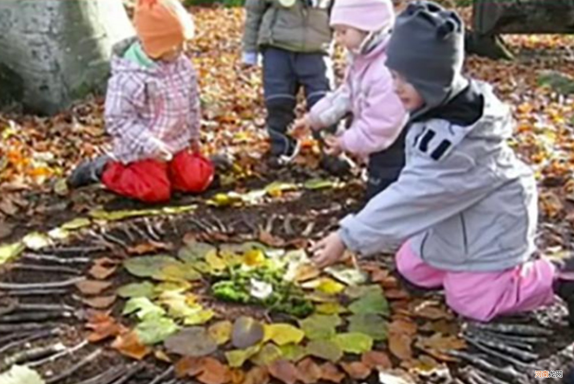 德国施行“森林幼儿园”，野外教育锻炼孩子，值得中国父母学习