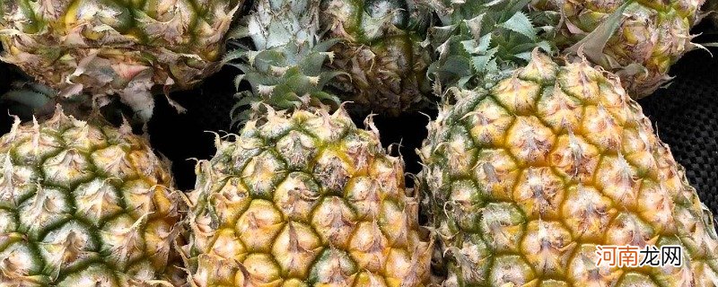 菠萝怎样保存时间长 菠萝保存方法