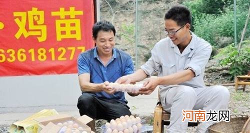 适合在农村创业好项目 适合在农村创业好项目有哪些