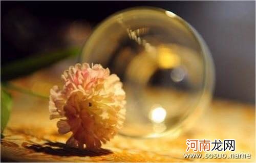 周公解梦梦见喝酒 周公解梦梦见喝酒划拳