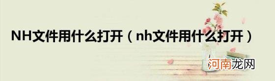 nh文件用什么打开 NH文件用什么打开