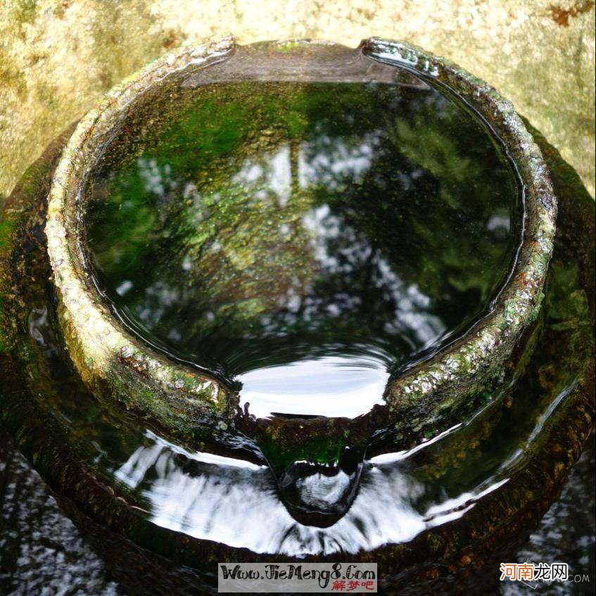 周公解梦梦见掉水里 周公解梦梦见掉水里被淹死了