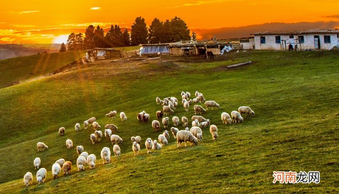 蒙古国的传统产业是什么 蒙古国的传统产业是哪些