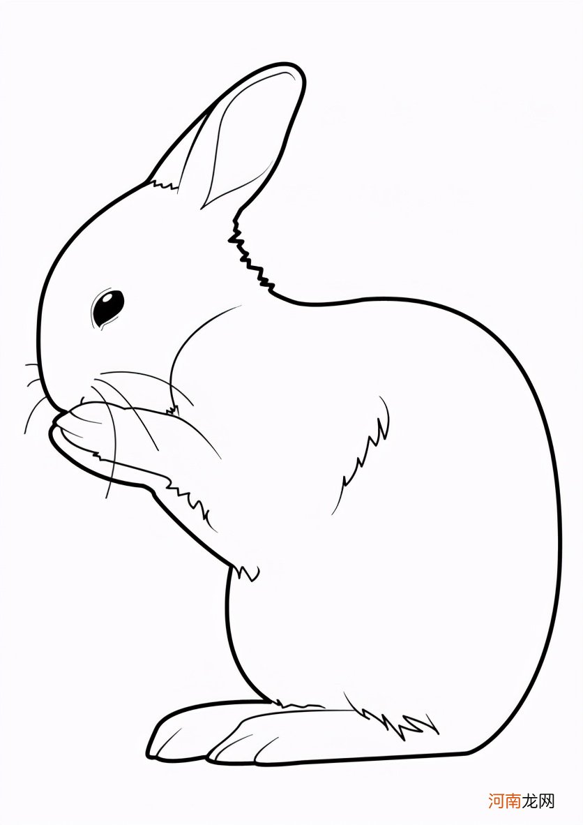 孩子要画画你会不会教？适合孩子临摹的兔子素材，保证他会喜欢画