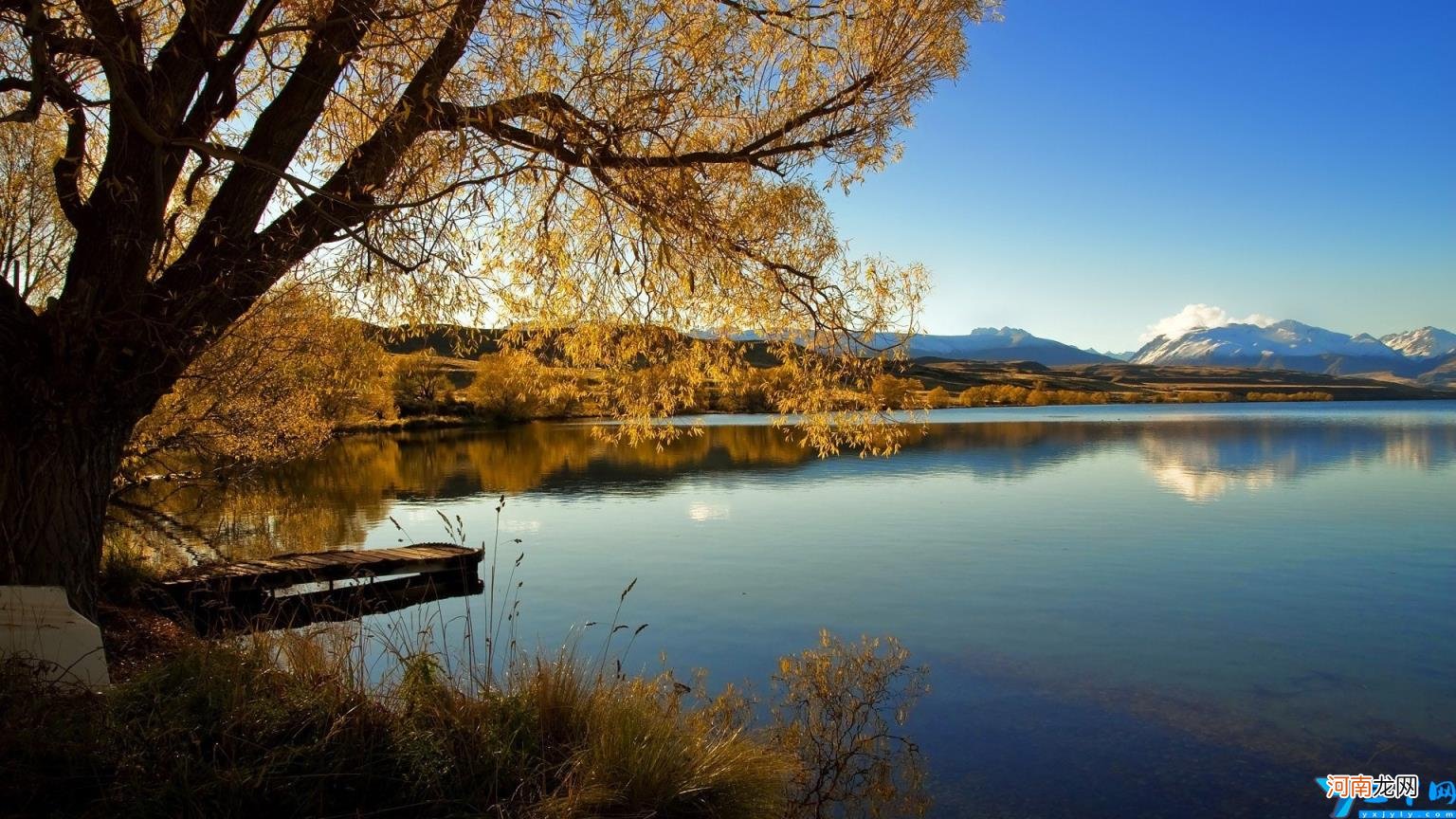 失去一切的说说伤感句子【精选11句】