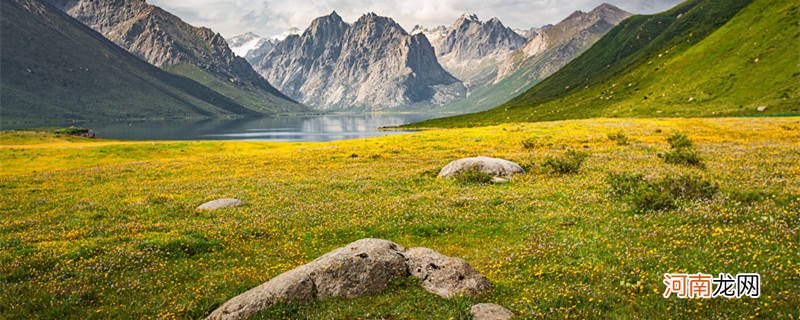 青海十大赏花胜地 青海赏花的地方有哪些