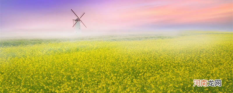 湖北十大赏花胜地 湖北赏花的地方有哪些