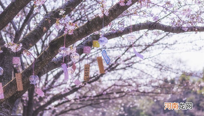 中国十大赏樱花胜地 国内赏樱花的最好地方