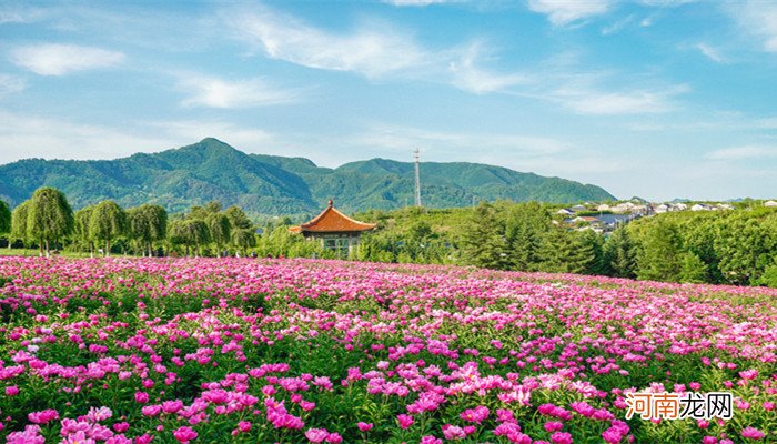 甘肃十大赏花胜地 甘肃排名前10的赏花胜地