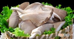平菇5种最好吃的做法 平菇的做法大全窍门
