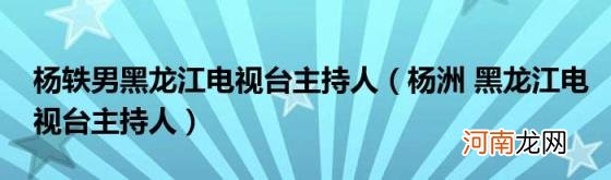 杨洲黑龙江电视台主持人 杨轶男黑龙江电视台主持人