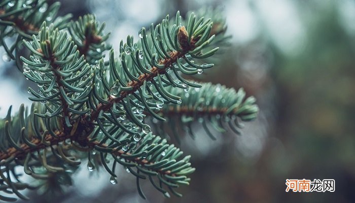 广州梅雨季节是几月份 广州梅雨季节是什么时候