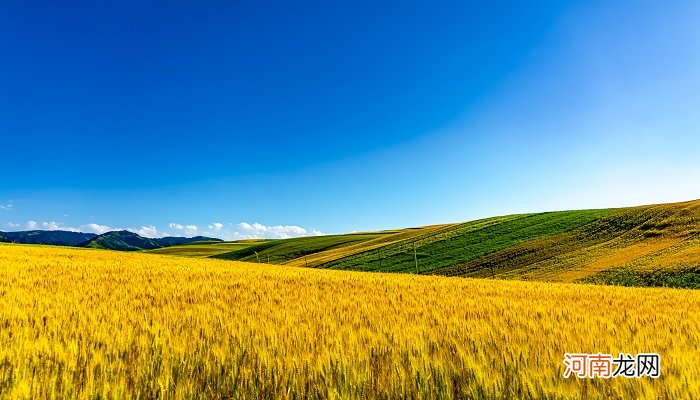 喀什是哪个省哪个市 喀什属于哪个省份哪个市