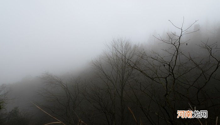 有雨山戴帽无雨半山腰什么意思 有雨山戴帽无雨半山腰翻译