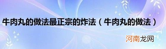 牛肉丸的做法 牛肉丸的做法最正宗的炸法