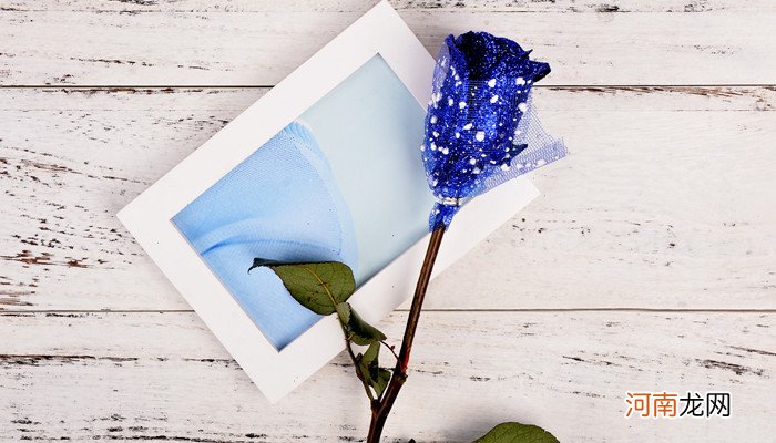 蓝色妖姬的花语是什么 蓝色妖姬的花语是啥