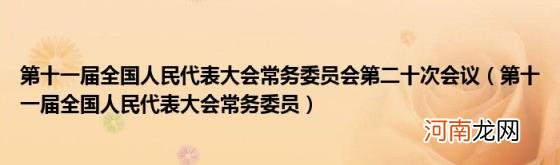 第十一届全国人民代表大会常务委员 第十一届全国人民代表大会常务委员会第二十次会议