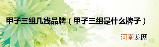 甲子三组是什么牌子 甲子三组几线品牌