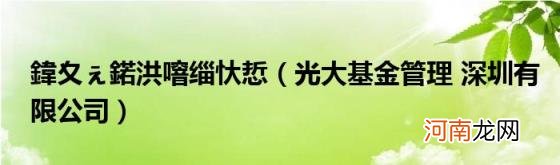 光大基金管理深圳有限公司 鍏夊ぇ鍩洪噾缁忕悊