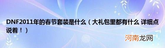 大礼包里都有什么详细点说着！ DNF2011年的春节套装是什么