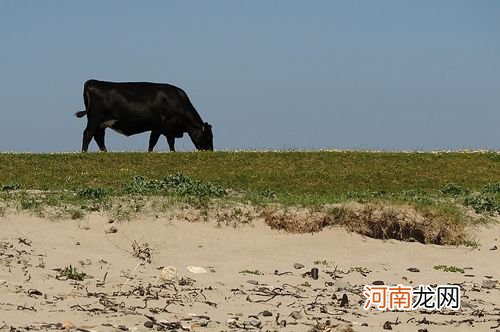 解梦爬山 解梦爬山下山