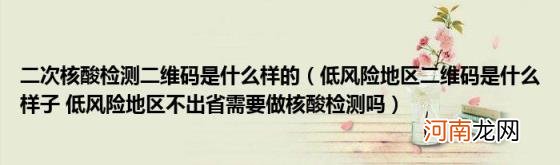 低风险地区二维码是什么样子低风险地区不出省需要做核酸检测吗 二次核酸检测二维码是什么样的