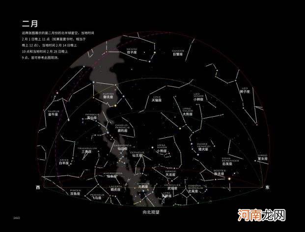 星座与亮星阅读感悟 星座与亮星阅读答案