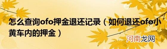 如何退还ofo小黄车内的押金 怎么查询ofo押金退还记录