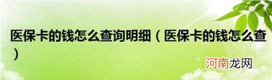 医保卡的钱怎么查 医保卡的钱怎么查询明细