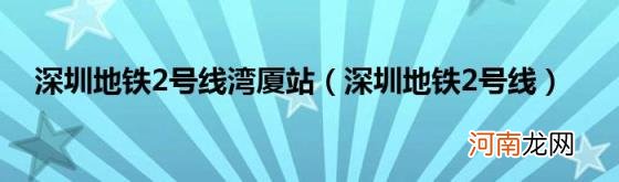 深圳地铁2号线 深圳地铁2号线湾厦站