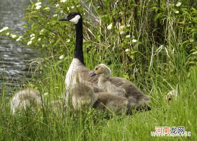 连续梦到死去的人是什么意思呢 总梦见死去的人什么意思