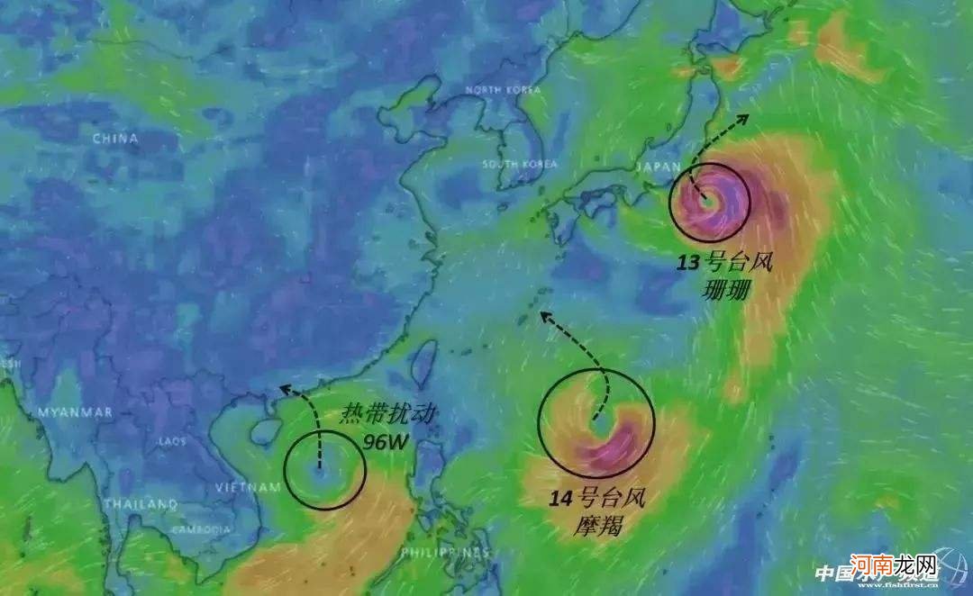 摩羯台风 摩羯台风是哪一年