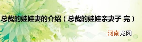 总裁的娃娃亲妻子完 总裁的娃娃妻的介绍