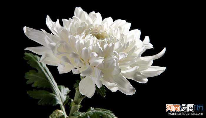 病人梦到死去的亲人意味着什么 生病人梦见死去的亲人