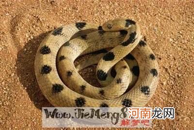 解梦粉条 梦见好多粉条啥意思